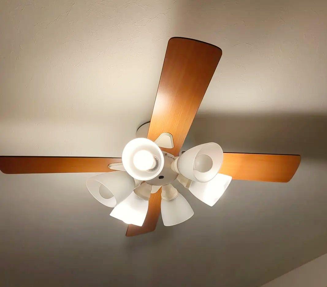 LOWYA シーリングファンライト 6灯 ホワイト/ナチュラル