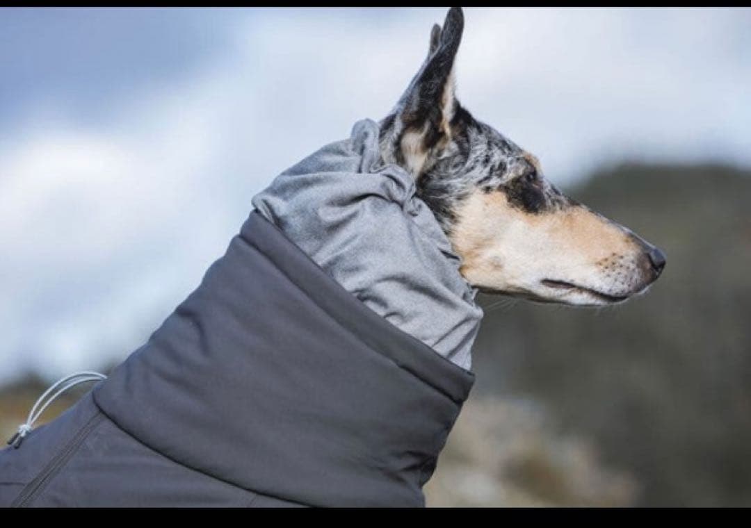 Hurtta エクストリームオーバーオール　40Ｍ　新品試着なし未使用