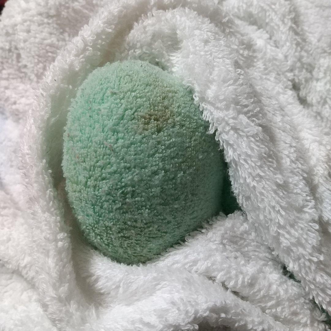 ぬいぐるみやカーペット ソファー掃除に役立つアイリスオーヤマリンサークリーナー