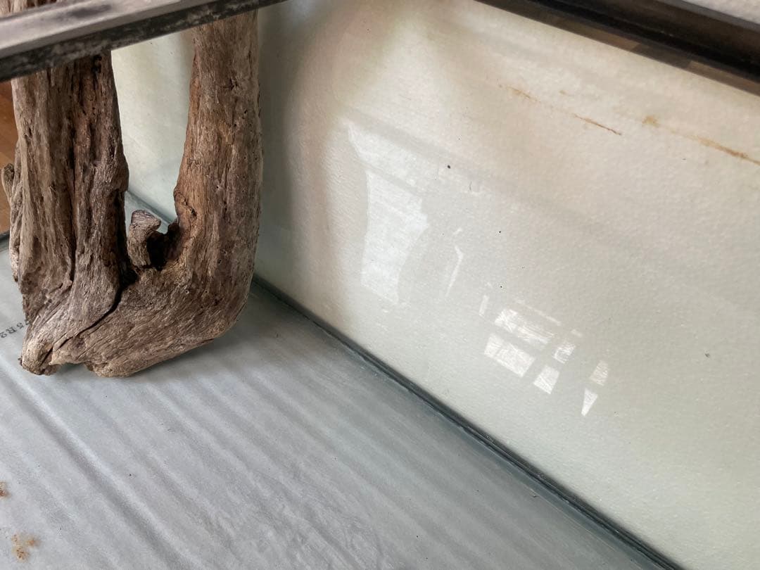 超大型　☆アクアリウム　生花　テラリウム 爬虫類　天然流木 ホーンウッド　1点者