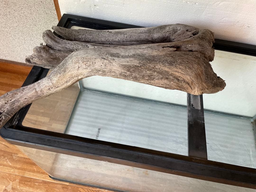 超大型　☆アクアリウム　生花　テラリウム 爬虫類　天然流木 ホーンウッド　1点者