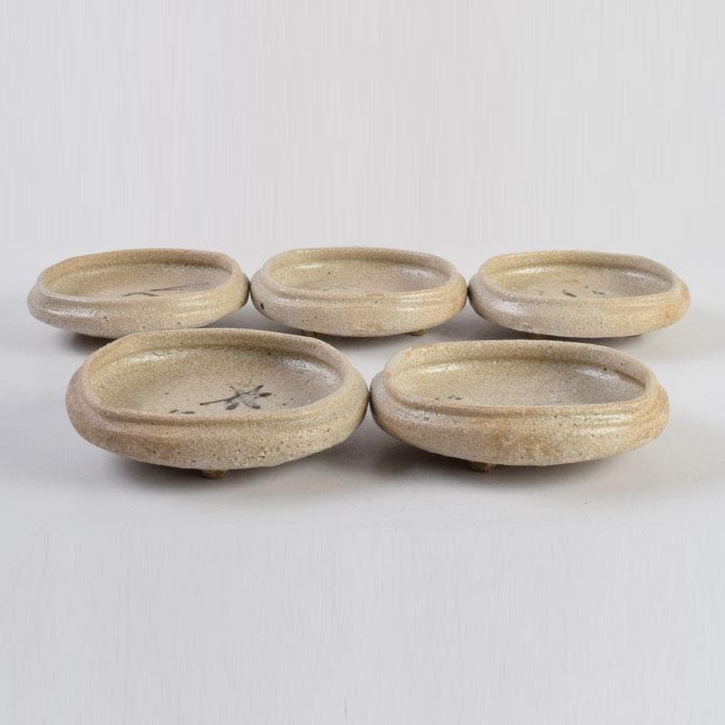 北大路魯山人作　志野焼　絵志野　鉄絵花草文　皿　五客　時代箱　M　8880