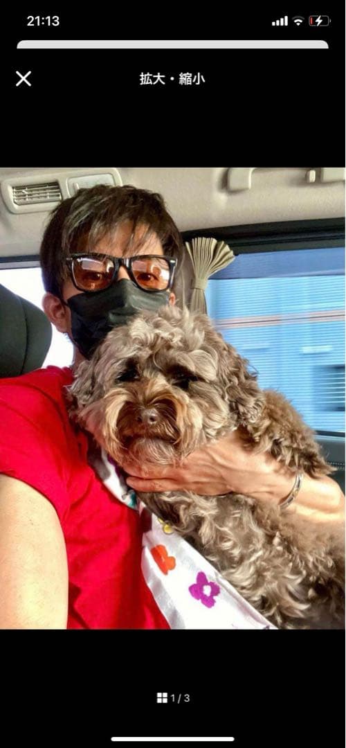 木村拓哉着用　Supreme シュプリーム - Naomi Tee Mサイズ