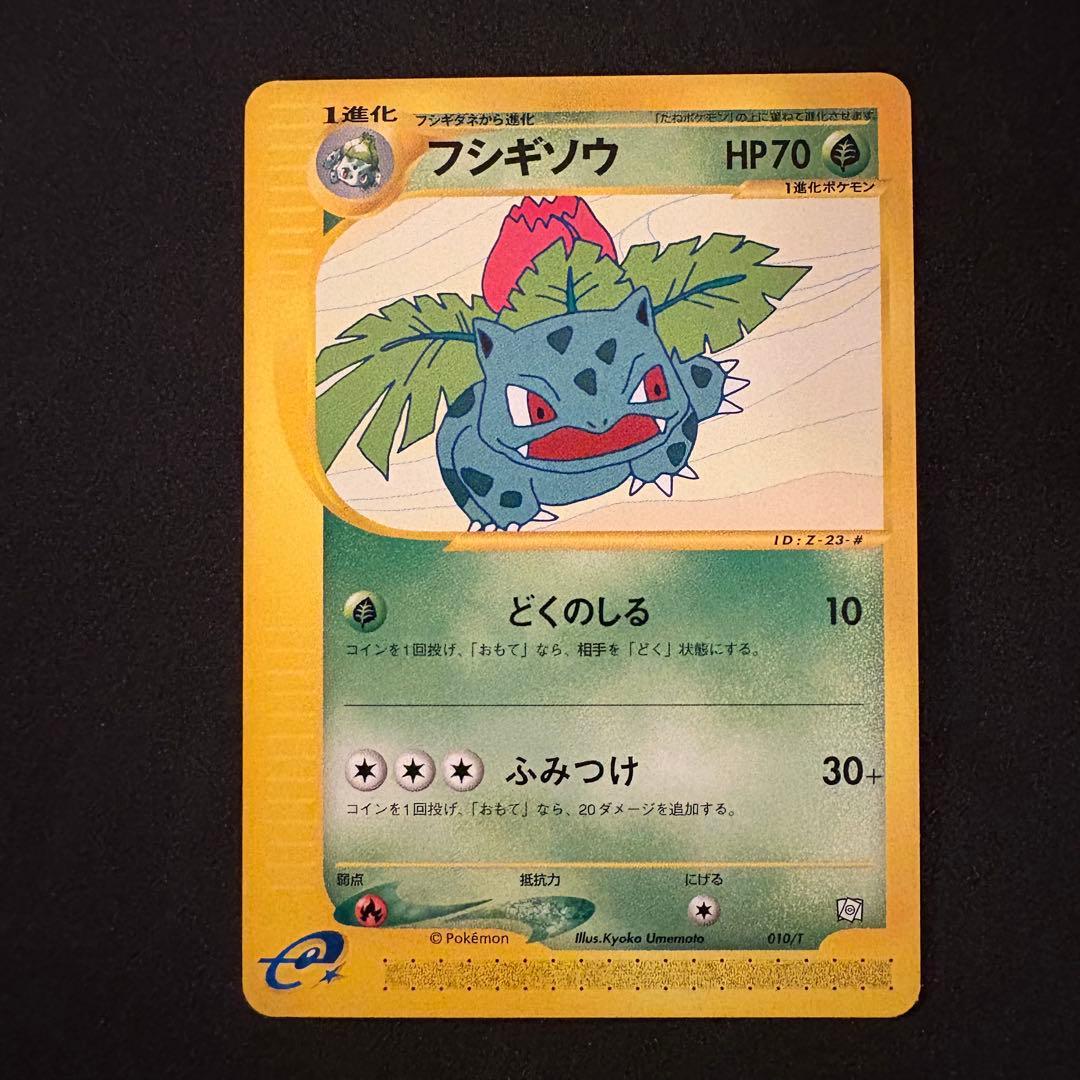 リザード・カメール・トレーナーズマガジンプロモまとめ売