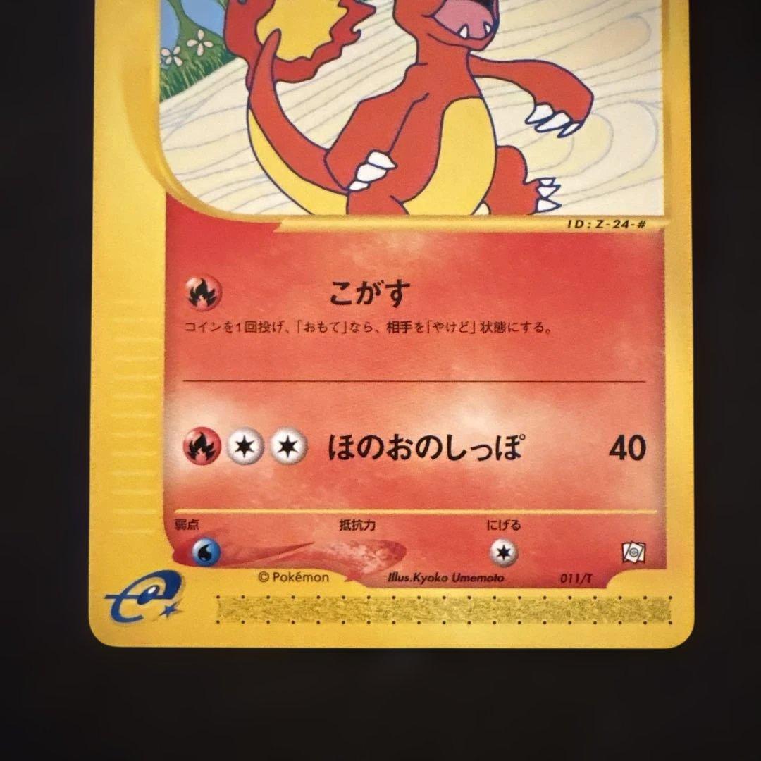 リザード・カメール・トレーナーズマガジンプロモまとめ売