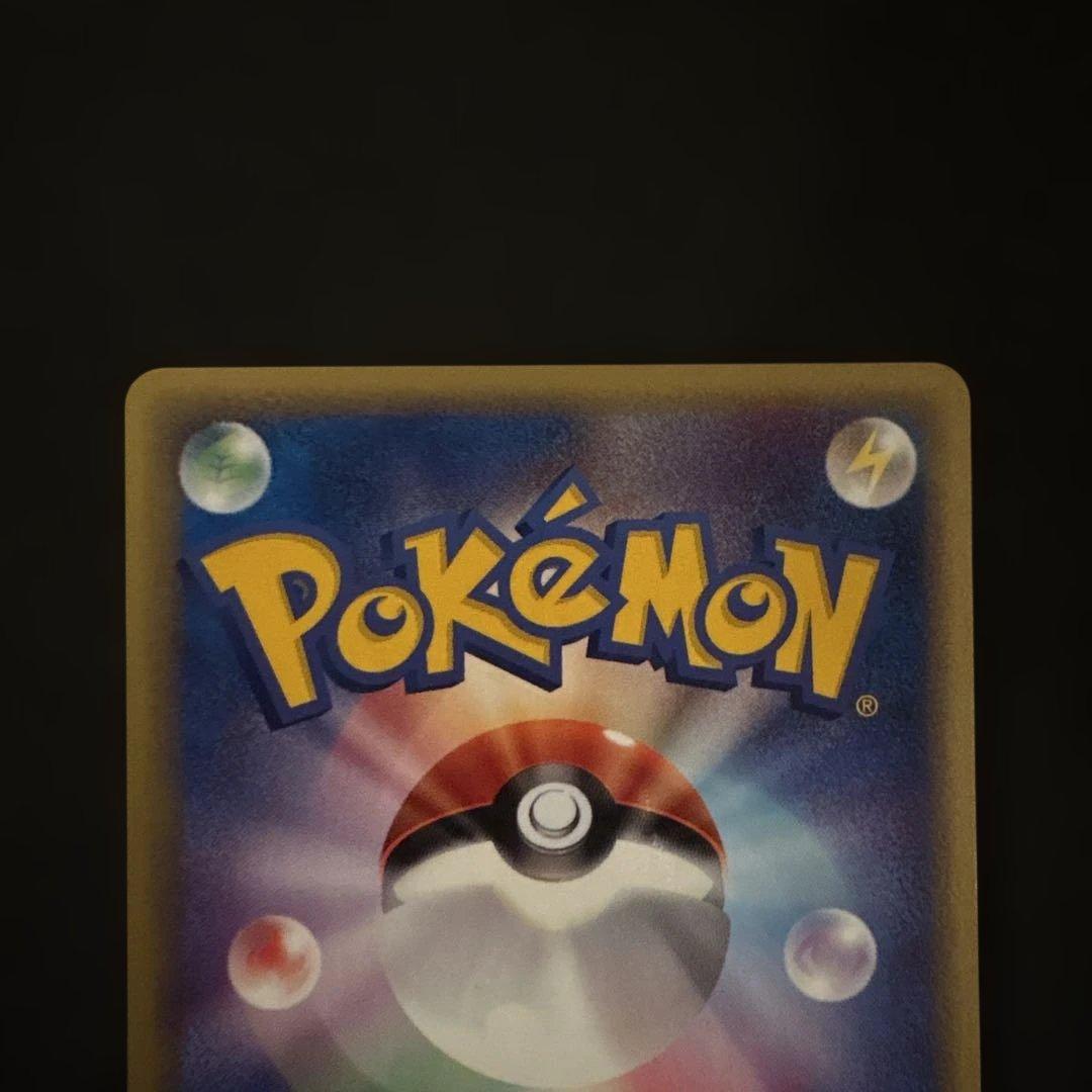 リザード・カメール・トレーナーズマガジンプロモまとめ売