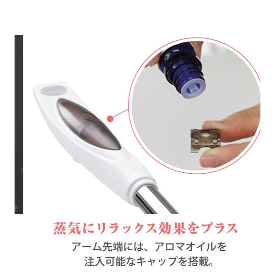 Sonia FV-801 フェイススチーマー　美品　エステサロン　フェイシャル