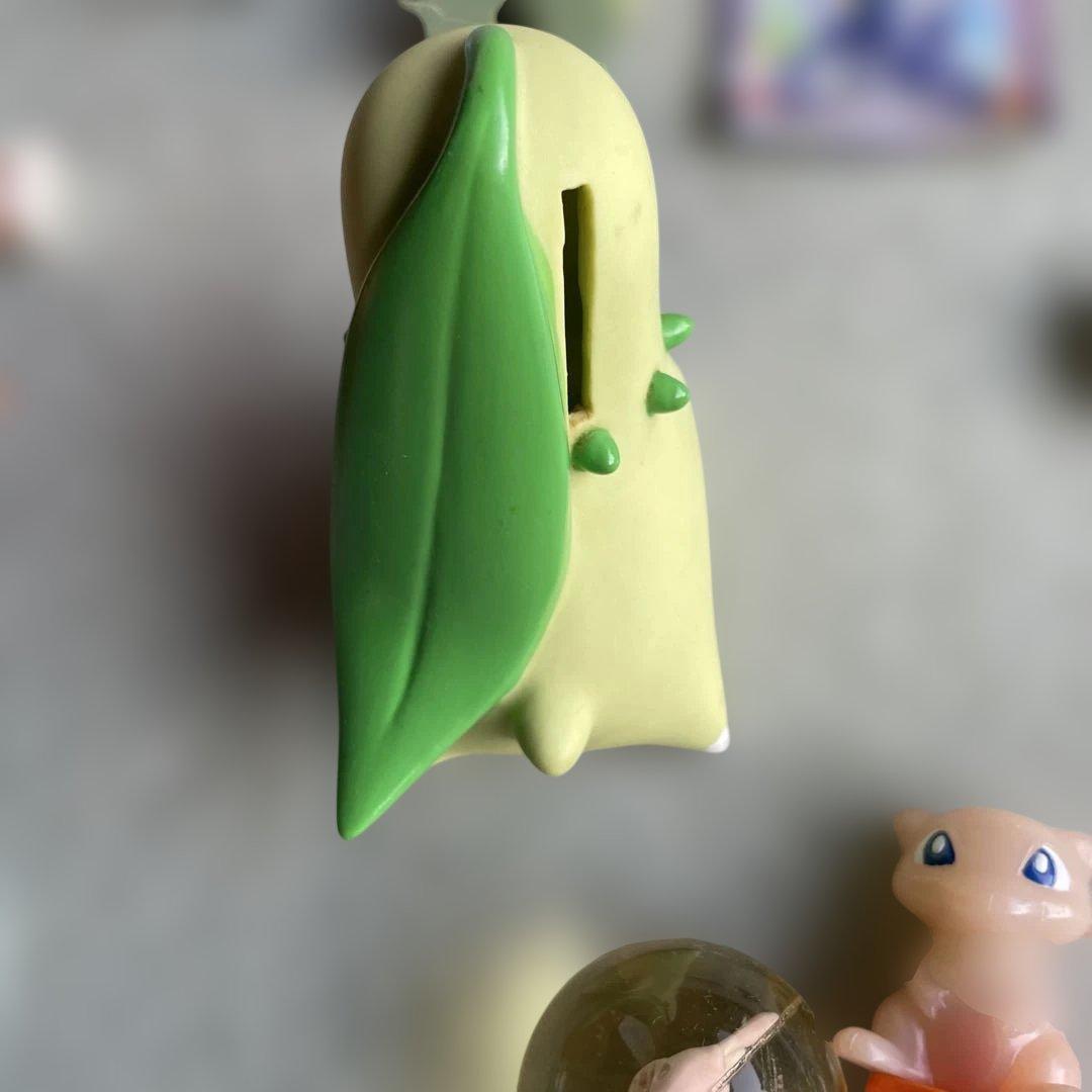 ポケモン　バラエティ