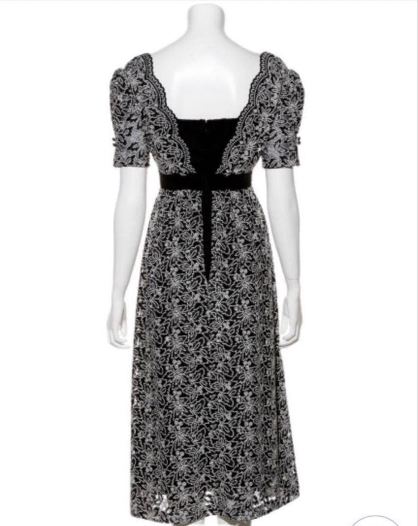 レイヤード刺繍チュールワンピース