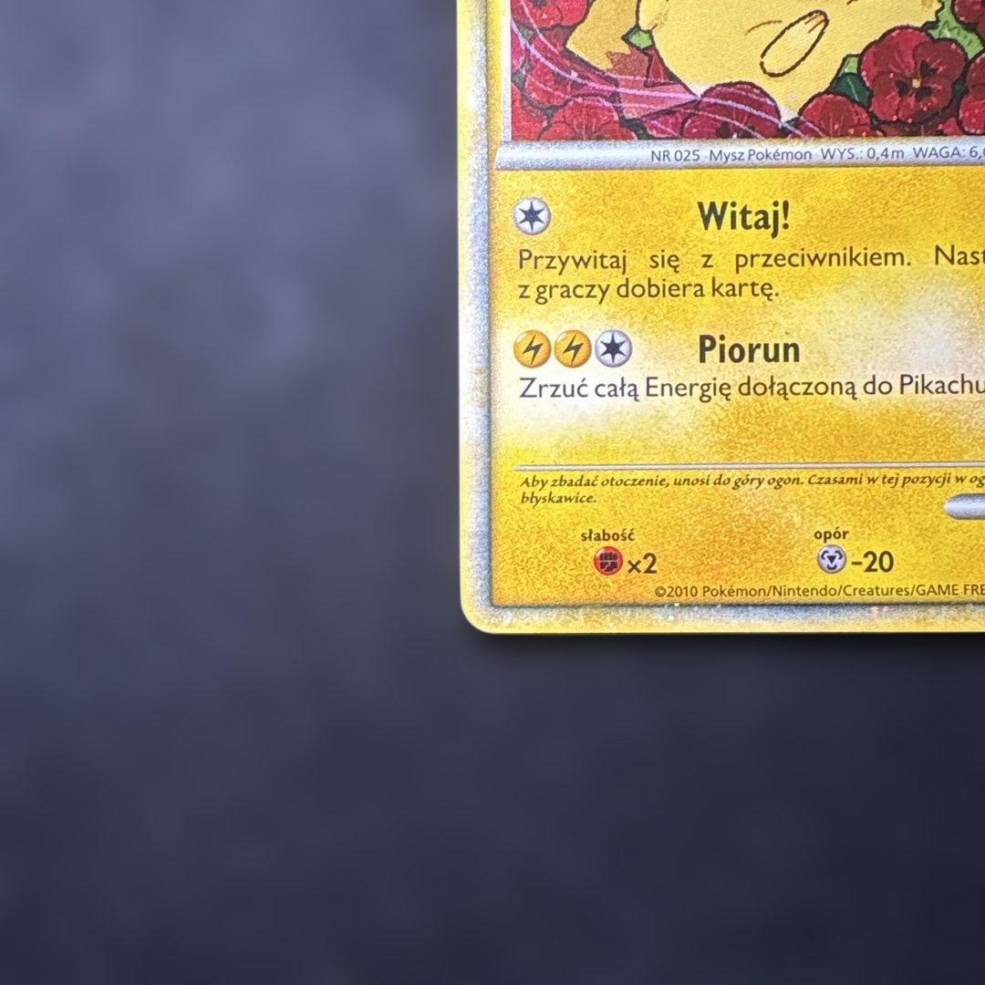 ピカチュウワールド　ピカチュウ　ポーランド