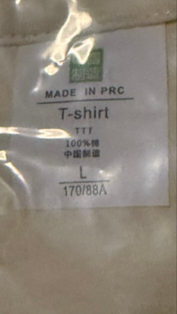 坂本慎太郎 2025年恵比寿リキッドルーム公演Tシャツ　Lサイズ