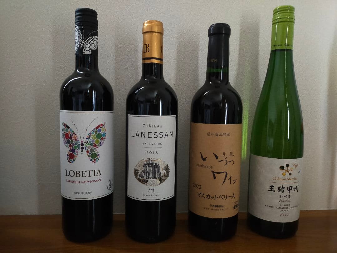 【10本セット】多様なワインセット（やや辛口〜辛口）