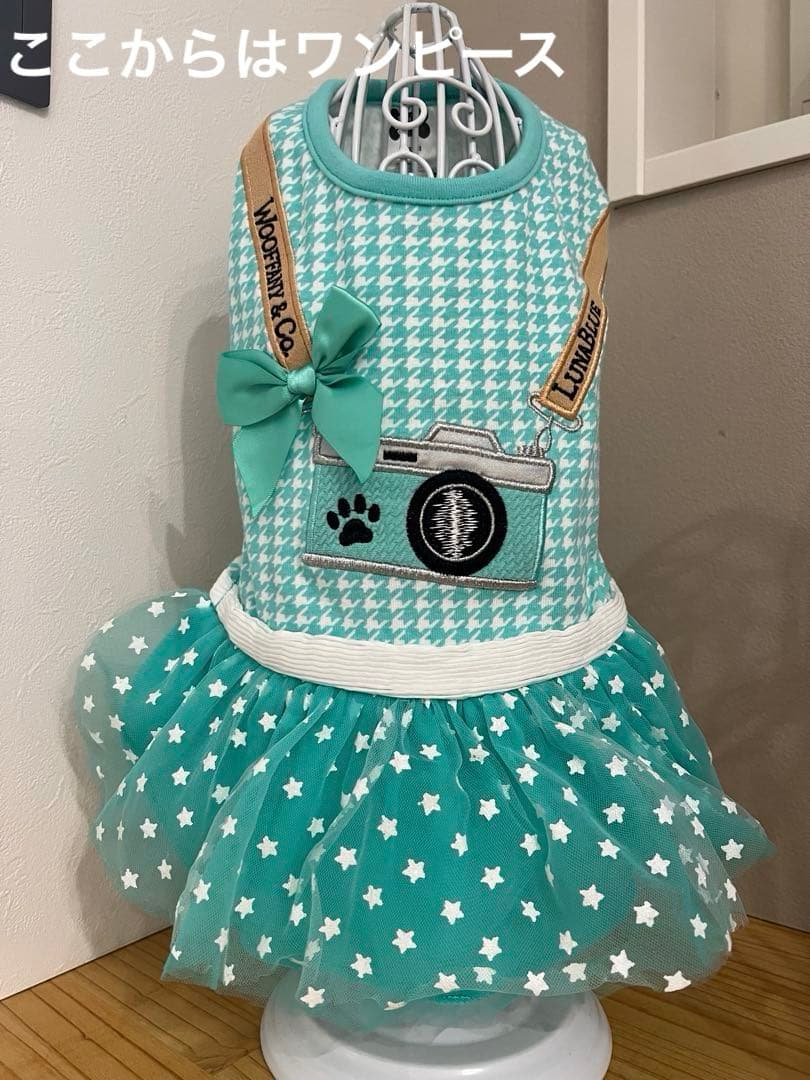 レア！ルナブルー　Woofanny & Co. カメラ犬服