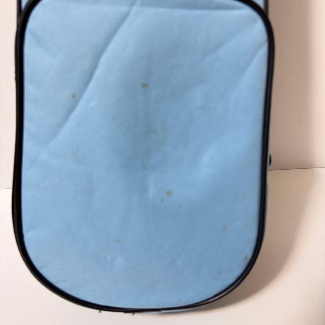 在庫処分！　カルロジョルダーノ　バイオリン　VS-1 1/2 2017年