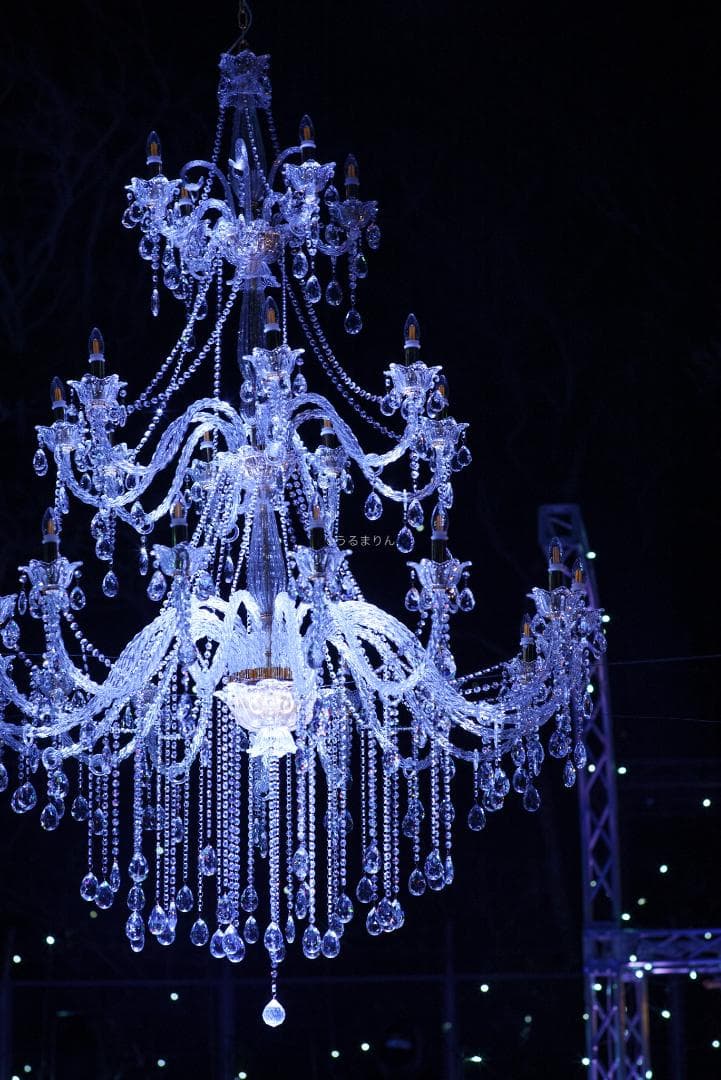 OH済！ポートレートに！CONTAX Planar 85mm F1.4 AEG