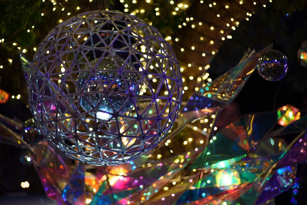 OH済！ポートレートに！CONTAX Planar 85mm F1.4 AEG