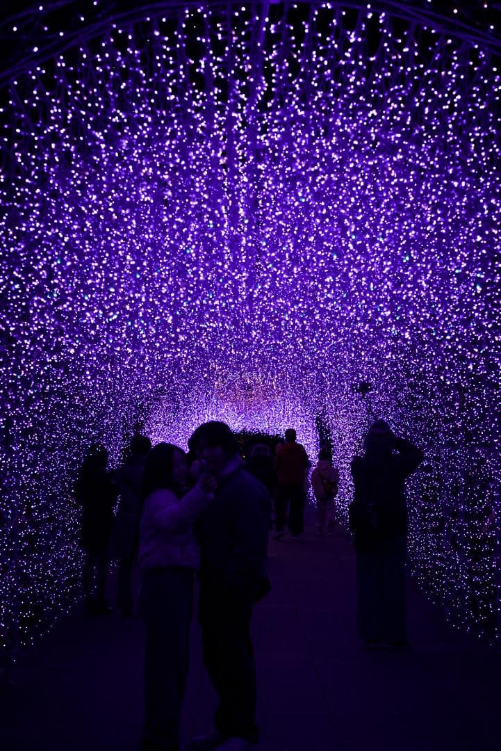 OH済！ポートレートに！CONTAX Planar 85mm F1.4 AEG