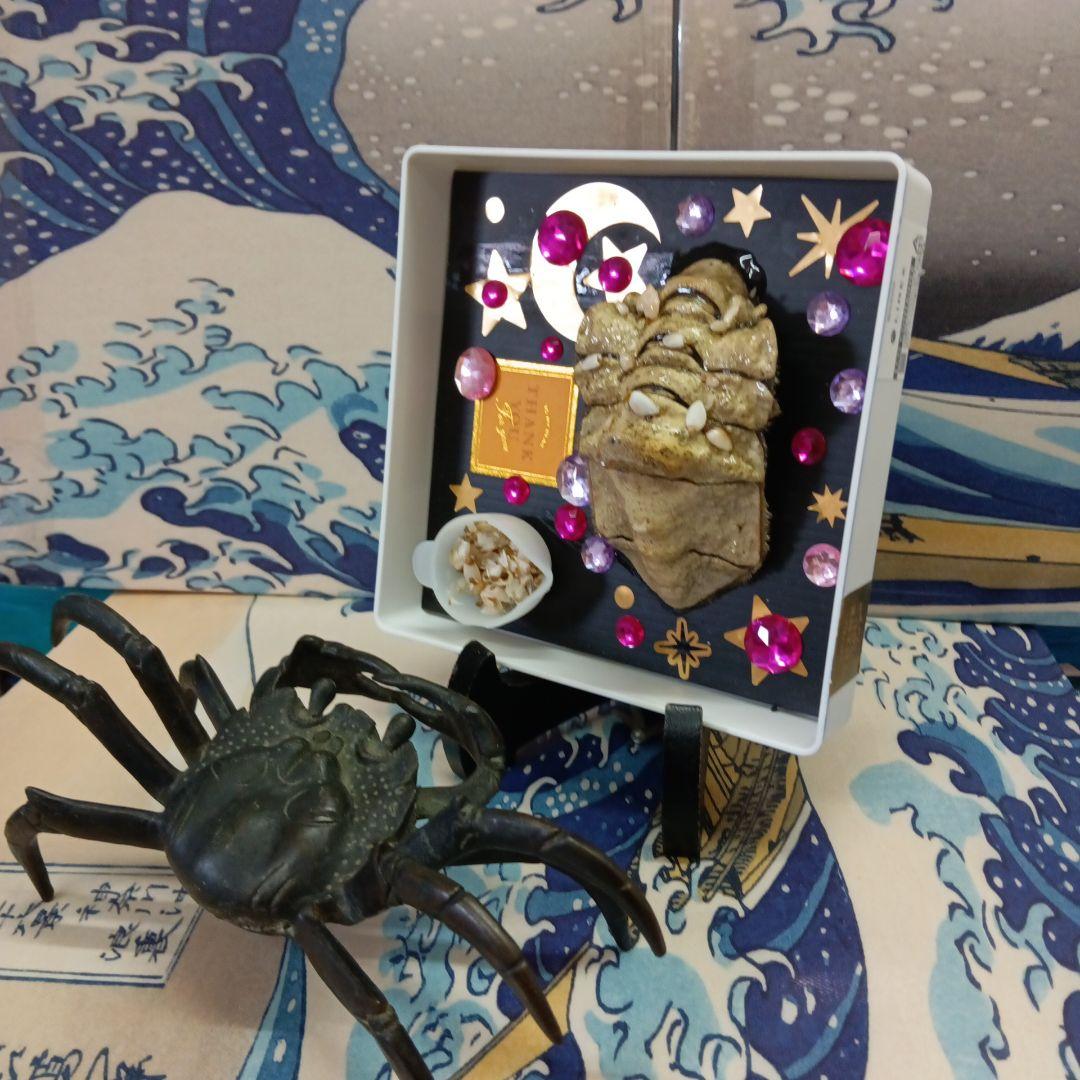 稀少レア四国太平洋沖深海生物タカアシガニふんどし腹リアル凹凸標本置物コレクション
