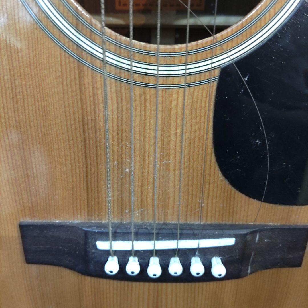 VMPD7-616-5 ARIA W-20 アコースティックギター