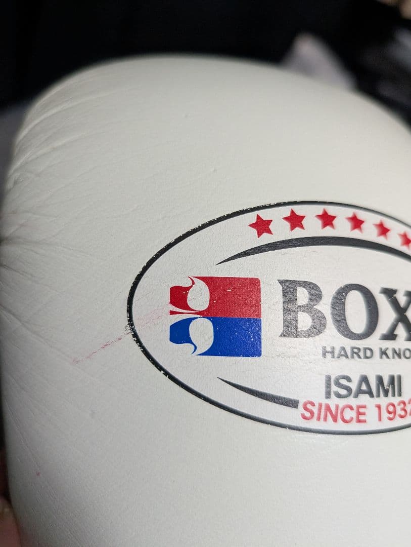 ISAMI BOXER ボクシンググローブ　ホワイト　16オンス