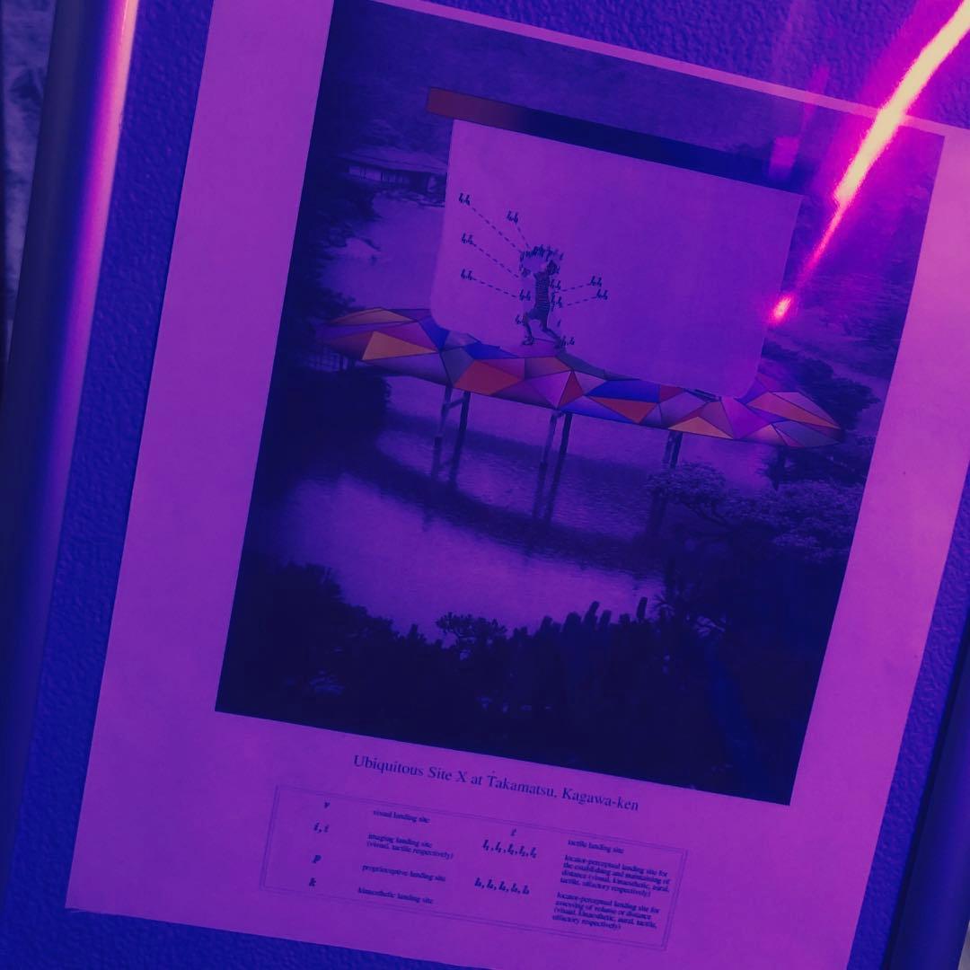 本日限定価格、荒川修作　(多分、、)マドリンギンズ　どこにでもある場所x