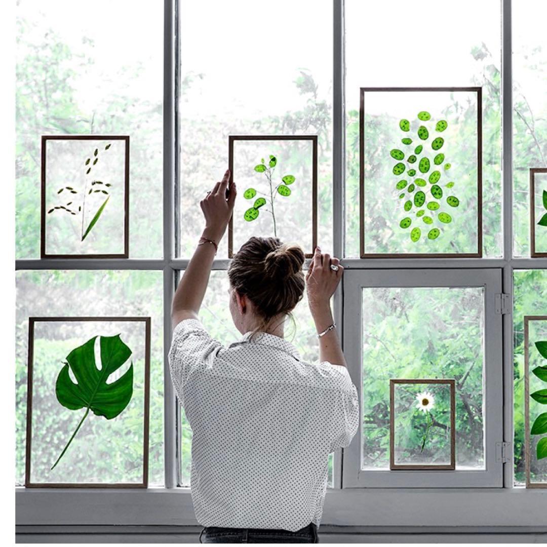 MOEBE ムーベ フレーム A2 ブラック