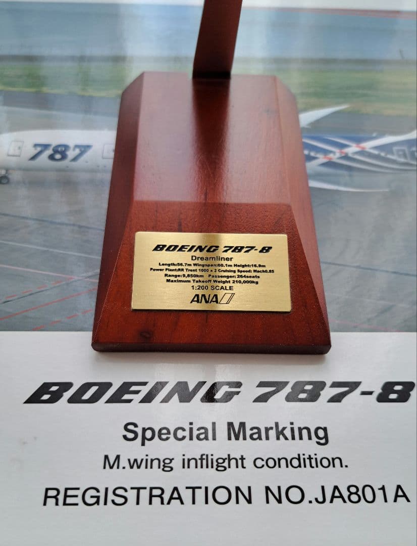 1/200 ANA B787-8 特別塗装 モデルプレーン JA801A