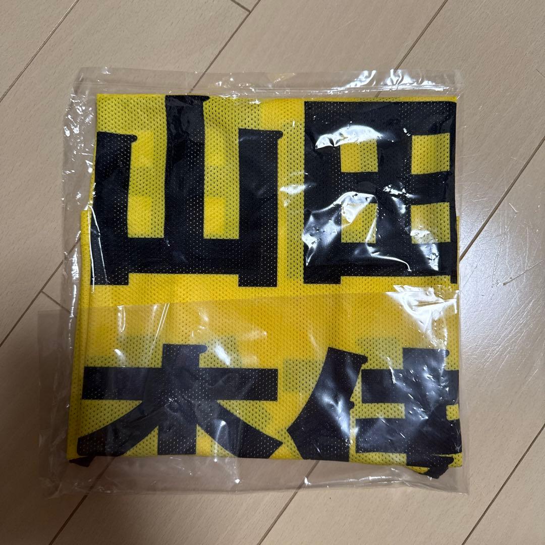 山田杏佳 ビブス