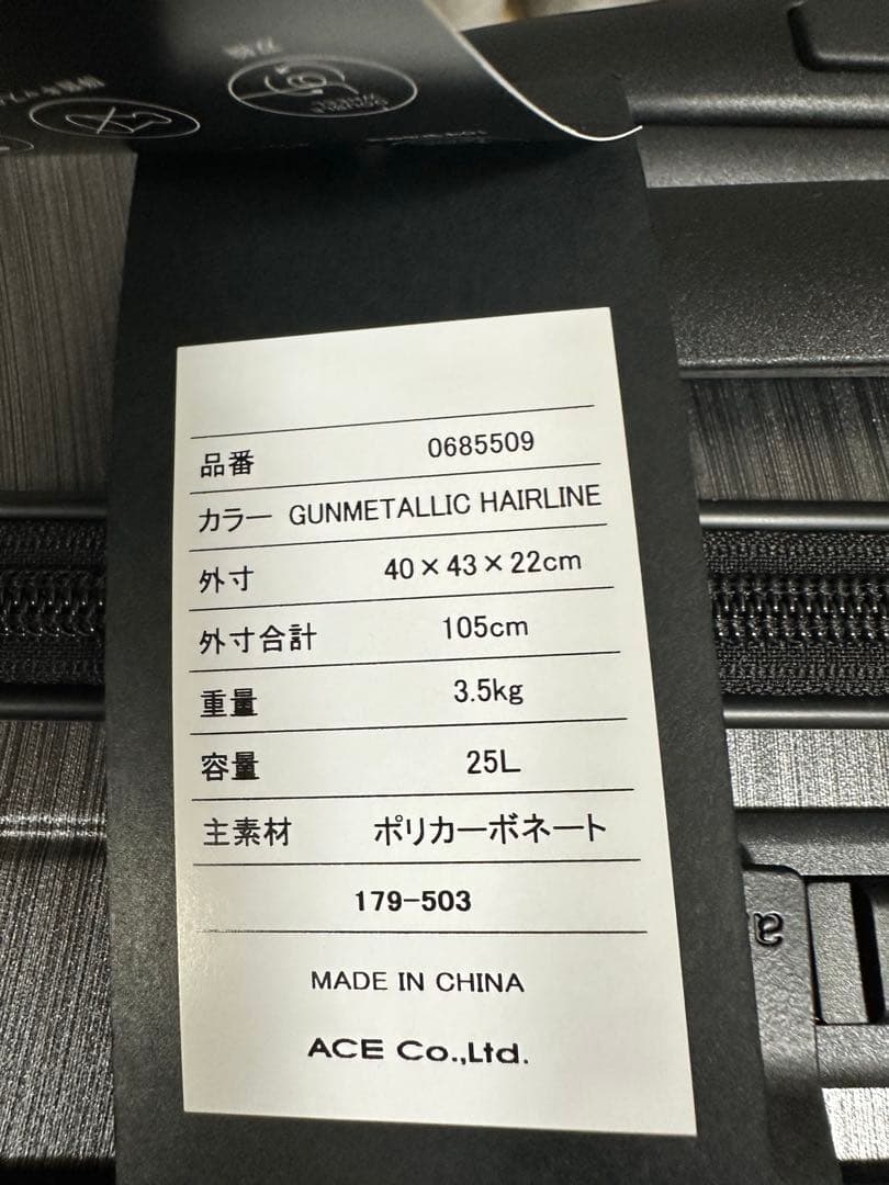 【柴カリ】エース スーツケース 25L横型 ace GENE06855