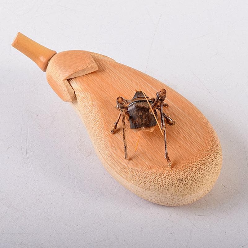 茶道具　加州木芸師　清水晃樹作　大名竹　福茄子香合　鈴虫付　共箱　V　8011