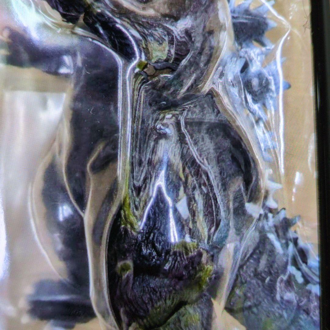 SHモンスターアーツ。ゴジラ。