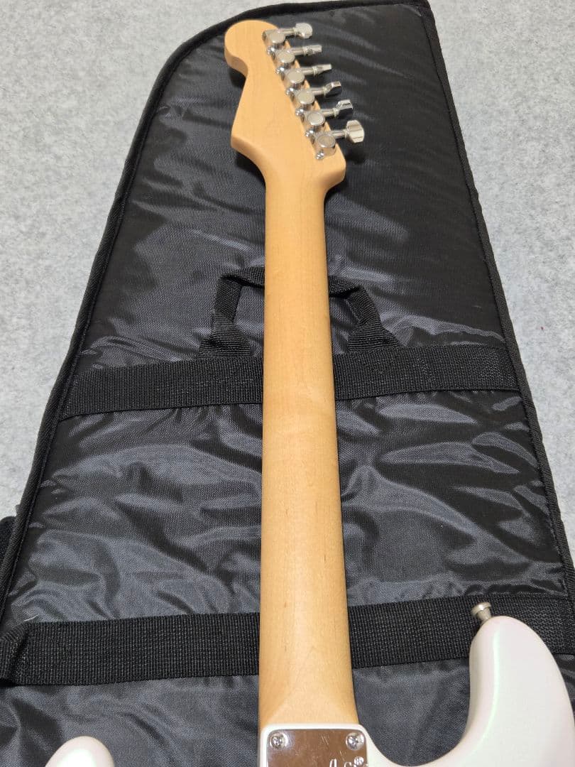 コンポーネントエレキギター T’s Guitars　USACG　Fender