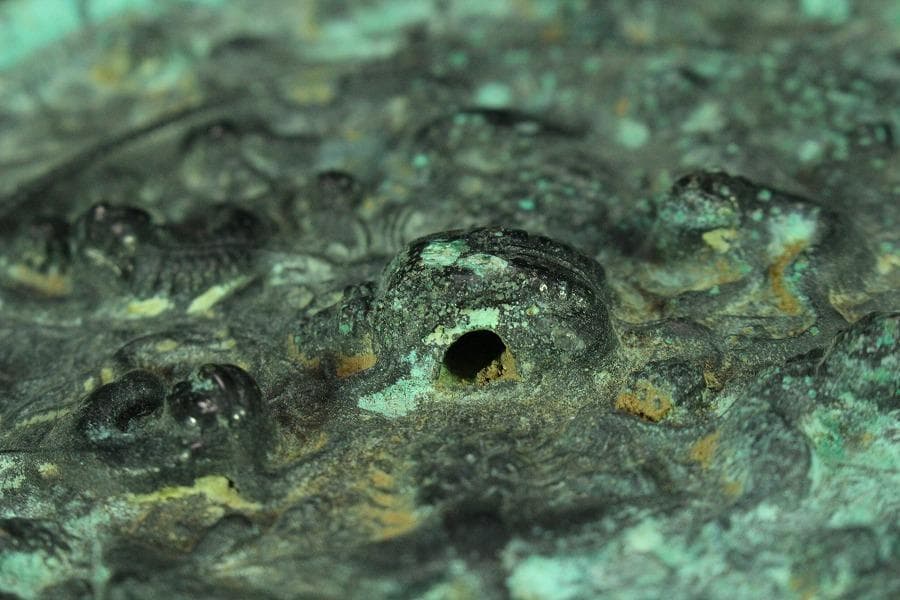 古美術 古鏡 獣紋 銅鏡 φ16cm コレクター蔵品(K-YC539)