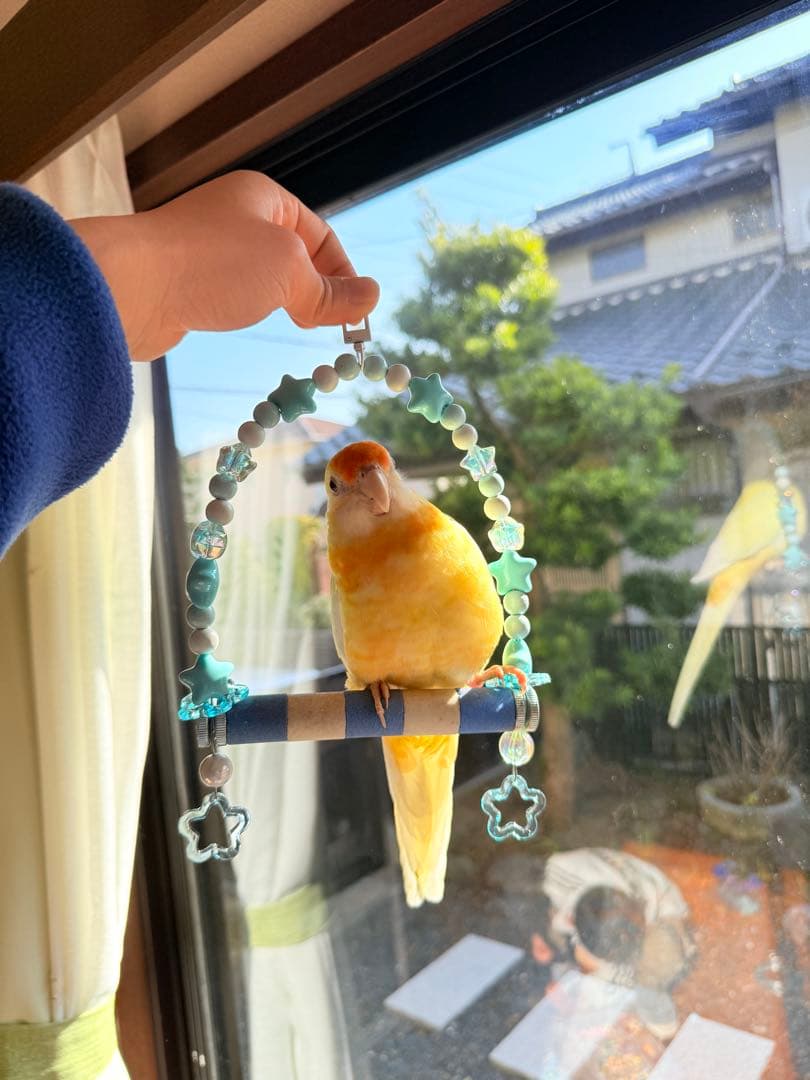 インコのおもちゃ 作品紹介