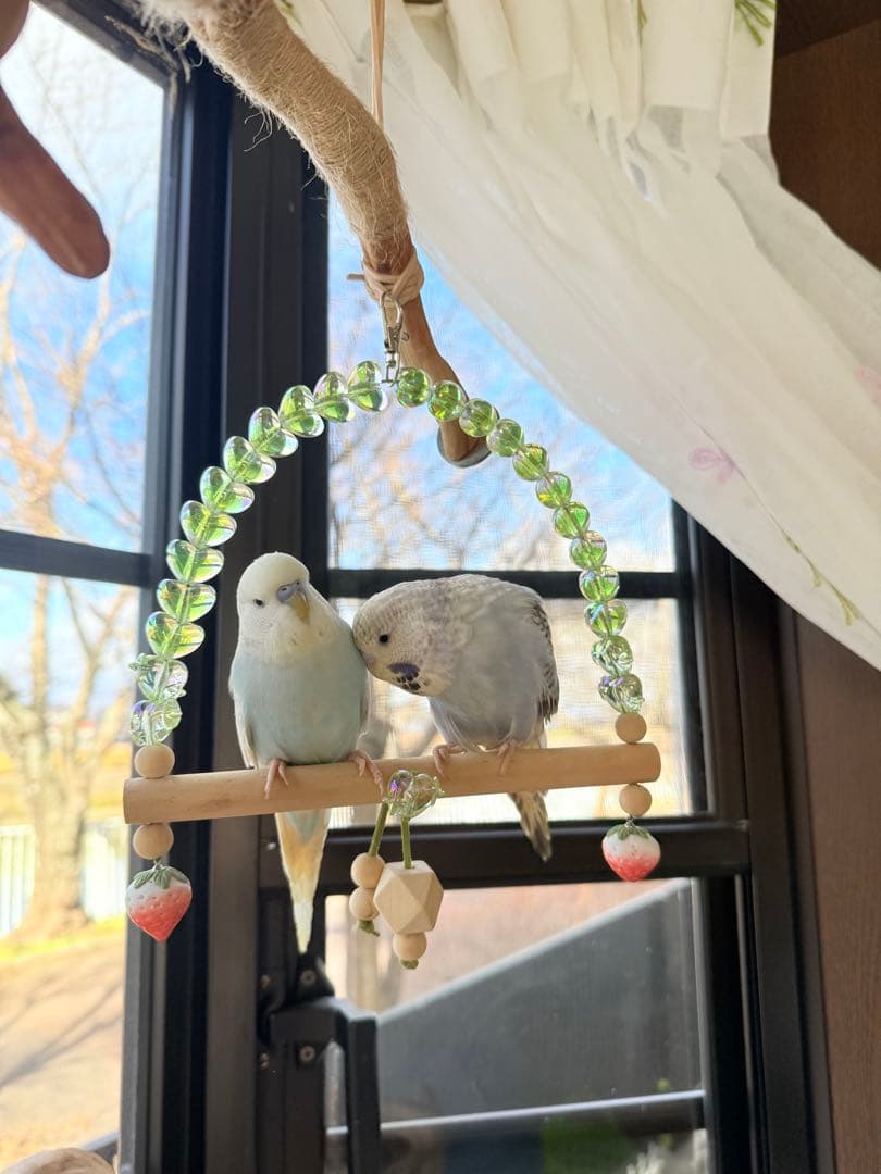 インコのおもちゃ 作品紹介