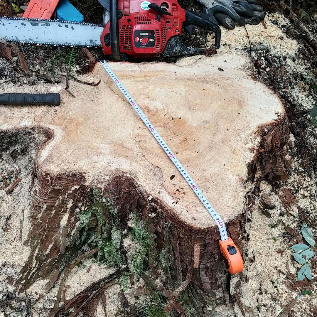 丸太スツール　丸太サイドテーブル　ヒノキ