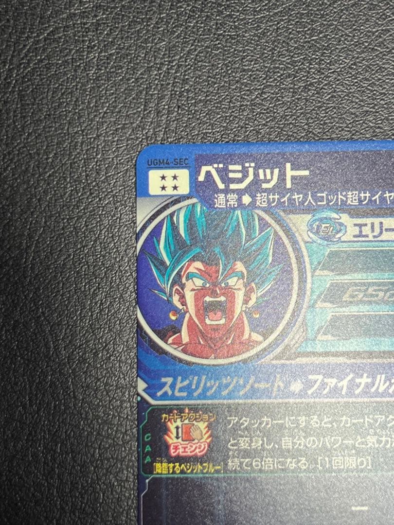 ベジット UGM4-SEC