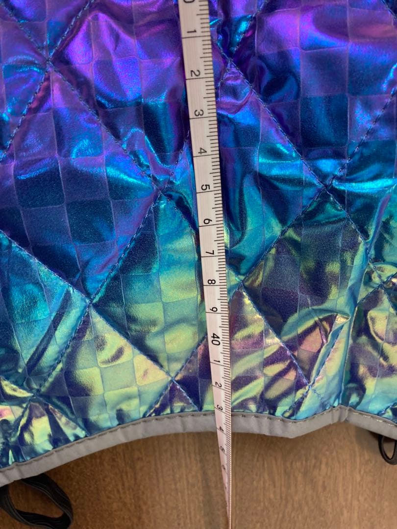 【Ｌサイズ】アウター コート 冬服 防寒着 いぬ わんちゃん ブルー系