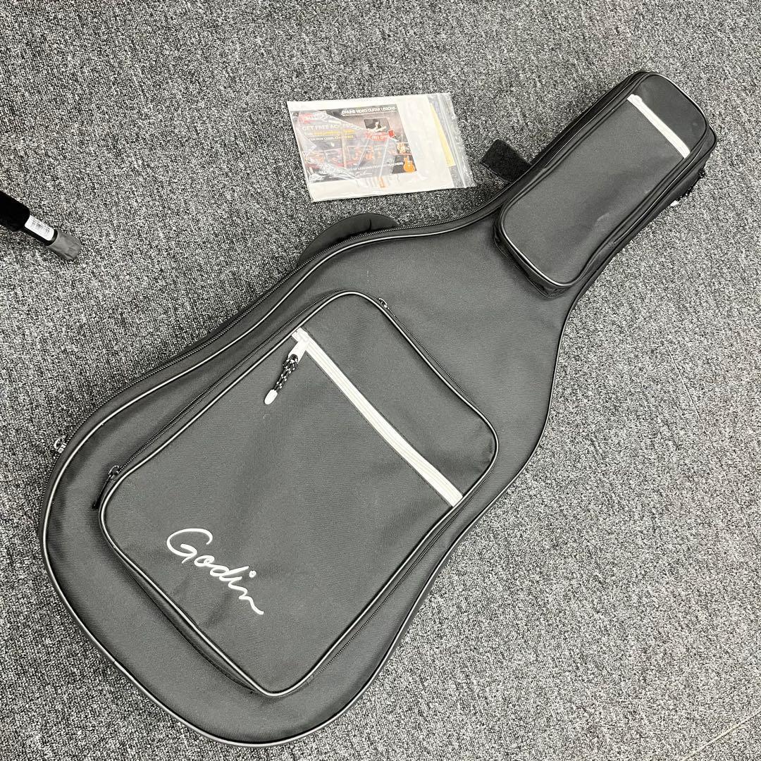 【11134】Godin Multiac Steel Duet Ambiance