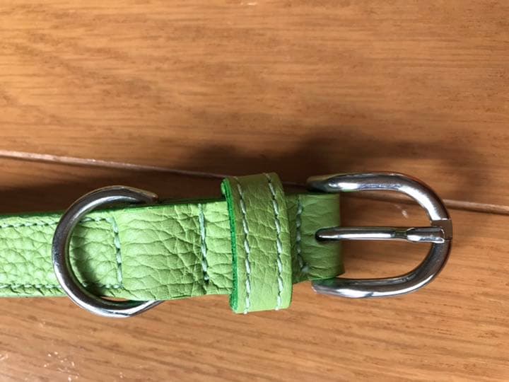 中型犬用カラー&リード