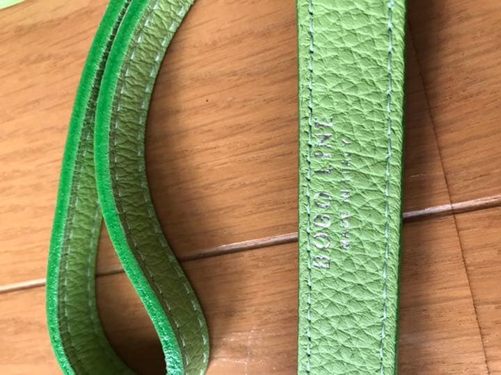 中型犬用カラー&リード