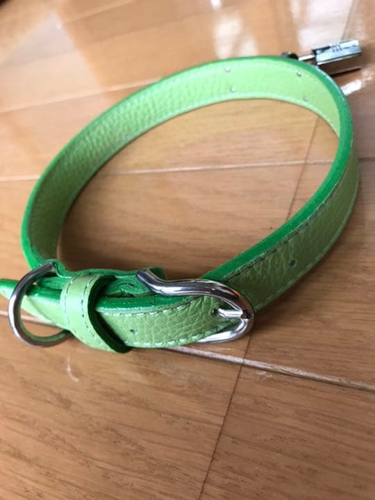 中型犬用カラー&リード