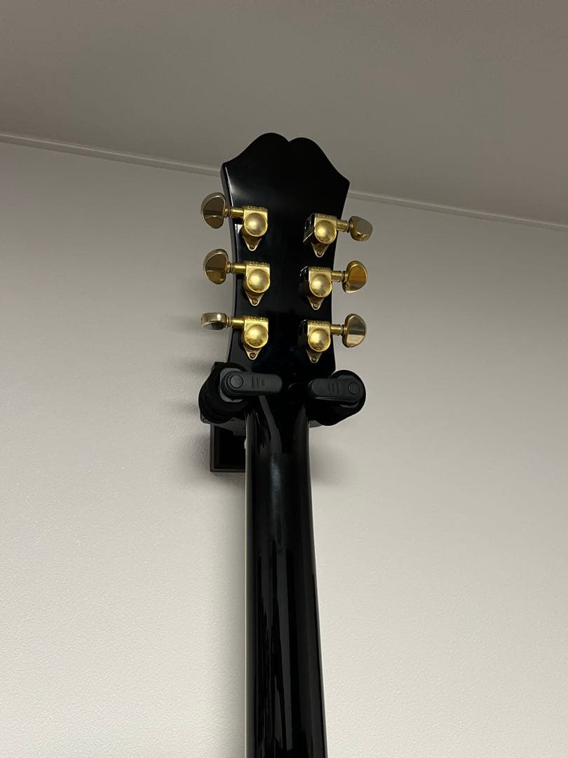 ギター Epiphone Dot ES-355 EB with hardcase