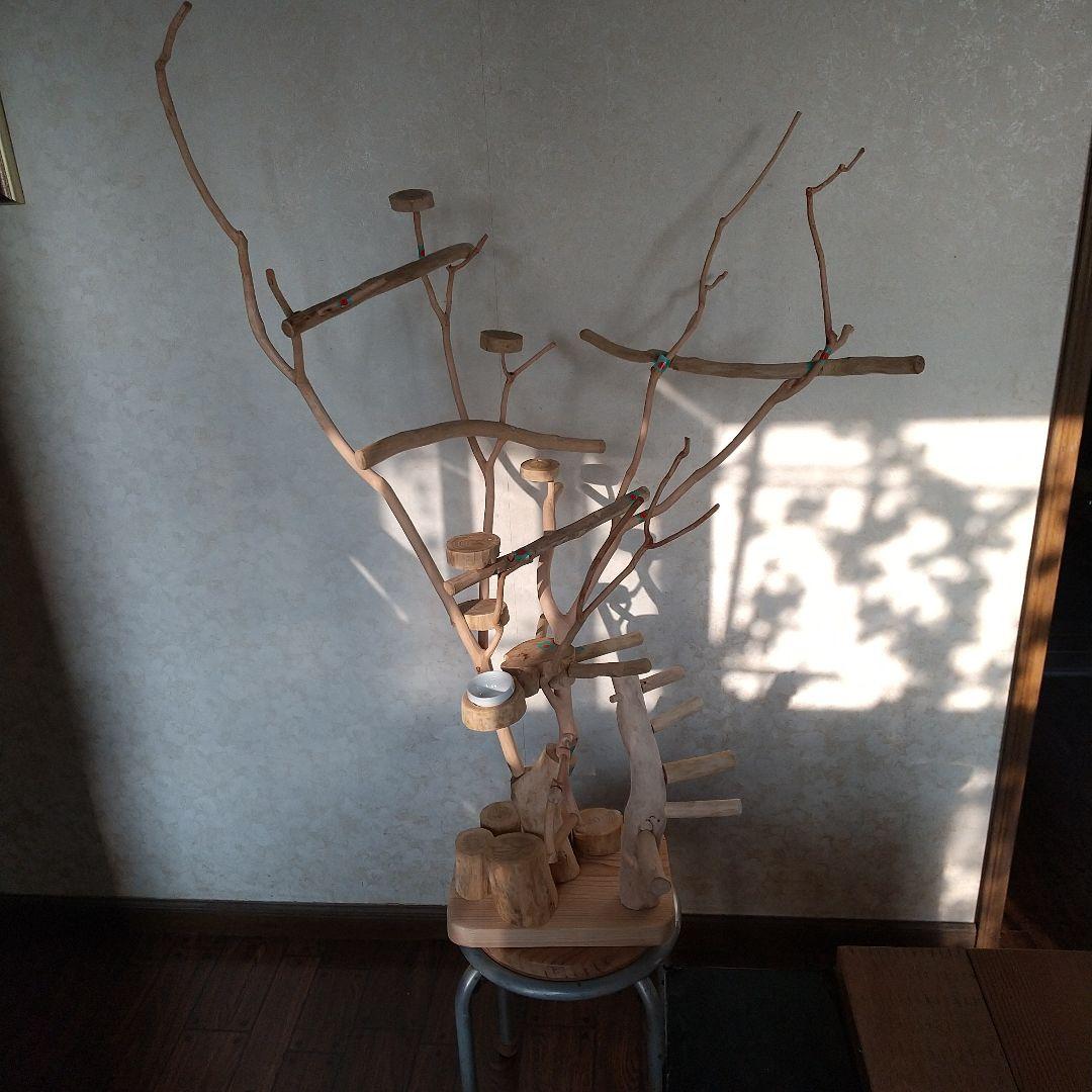 ココア牛乳インコバードアスレチックツリージム楽園シリーズ④