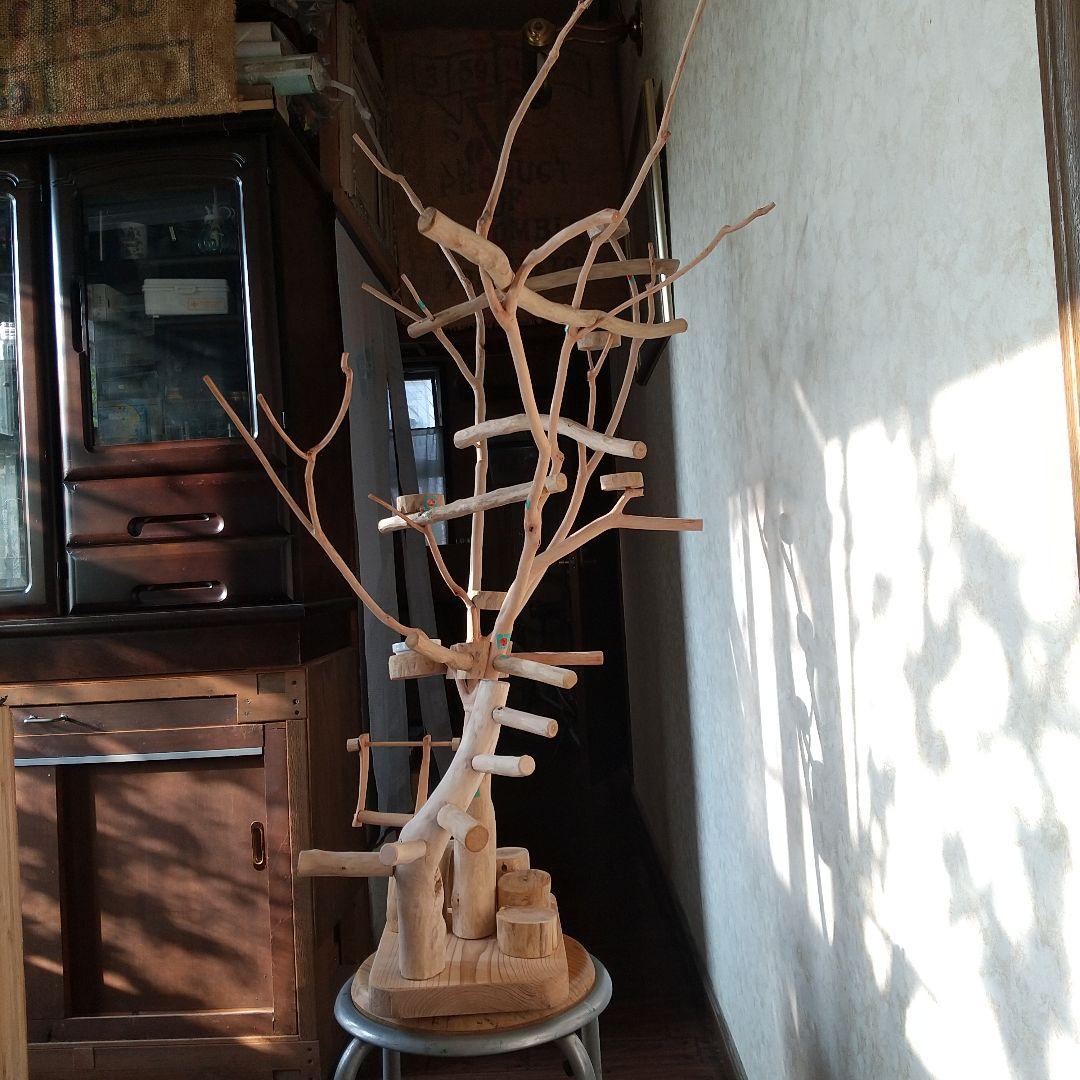 ココア牛乳インコバードアスレチックツリージム楽園シリーズ④