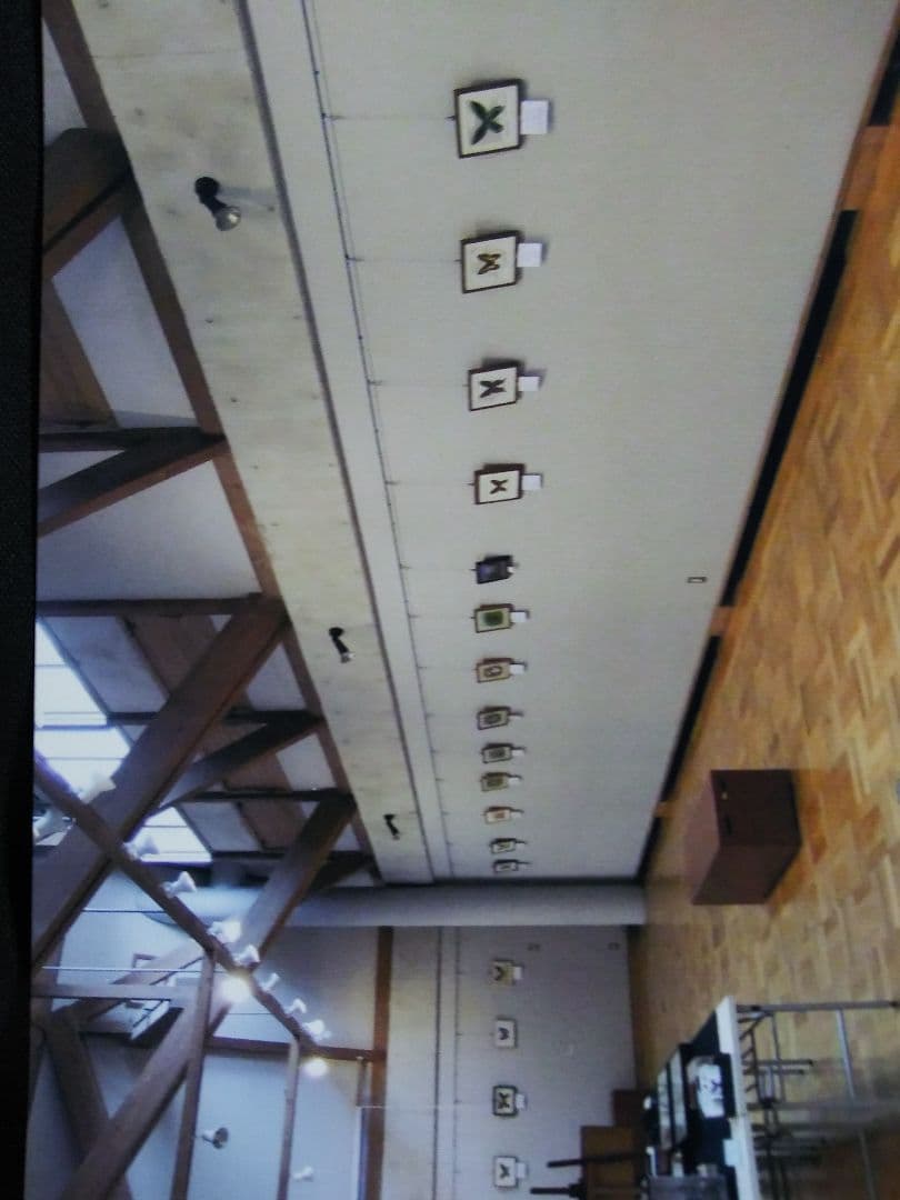 ゴライアストリバネアゲハ