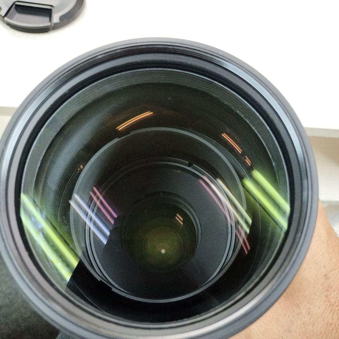 ゆっくん TAMRON SP 150-600mm F/5-6.3A011N