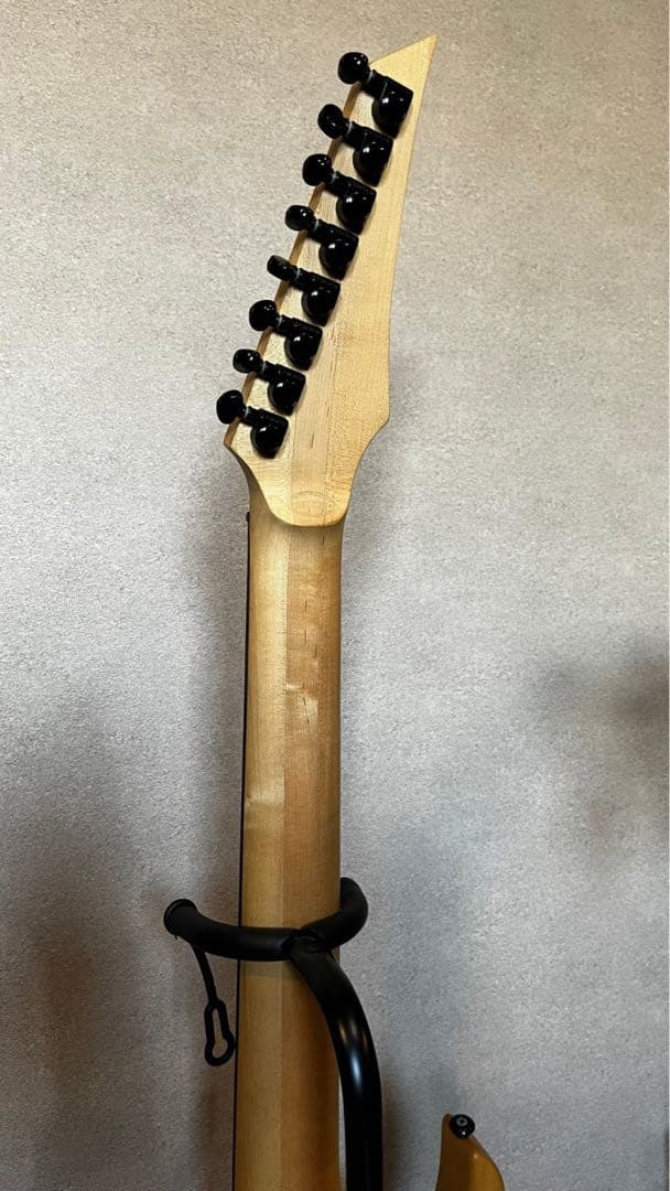 8弦ギター Agile ベアナックル&ディマジオSeptor 多弦