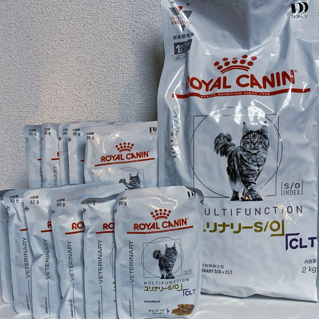 ロイヤルカナン　猫　ユリナリーS/O CLT ドライ　2kg ウェット　パウチ