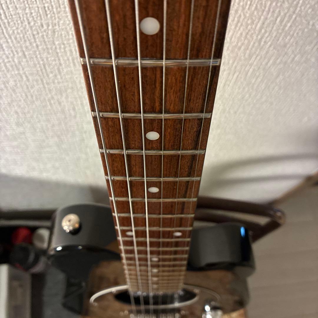 ピグノーズPGG200 ブラック